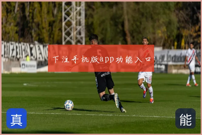 下注手机版app功能入口